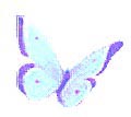 Poetry and Fiction,butterfly