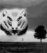 Dream, vision, real