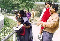 family, important, harmonious