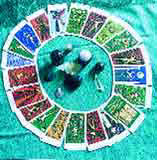 predict, future, predictive sciences