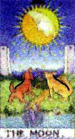 Predictive Sciences