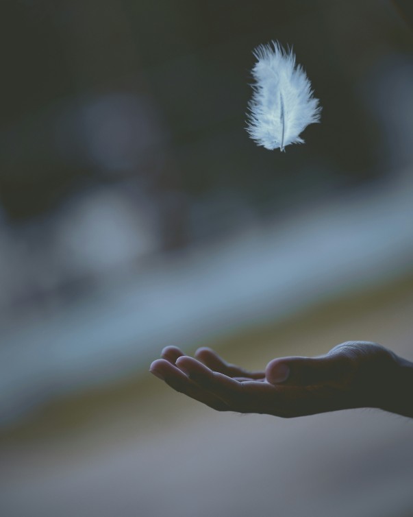 Personal Growth
