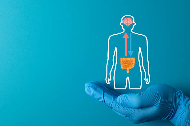 How Optimizing Gut Health Testing Improves Digestive Wellness