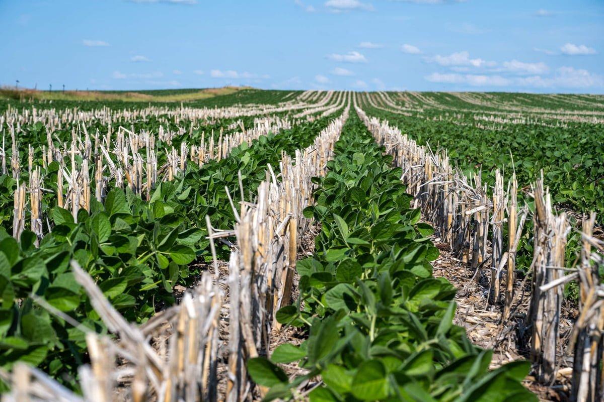 UK policy 2050 focuses on regenerative agriculture