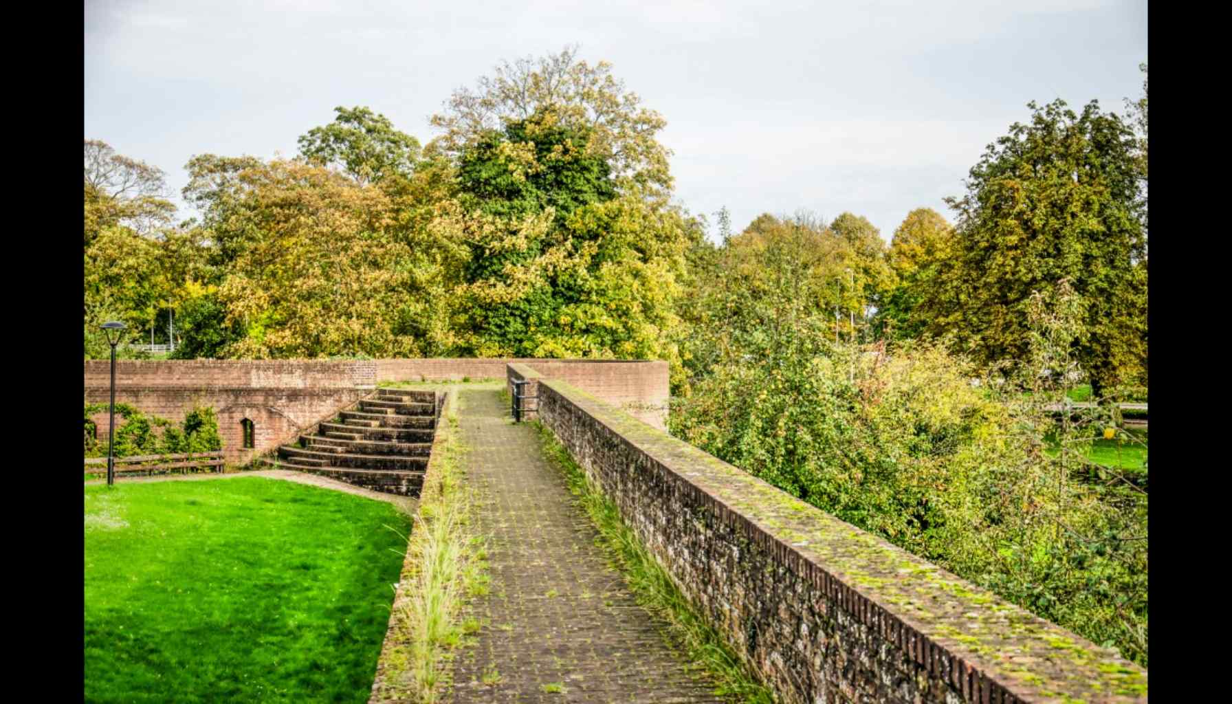 London creates rubble gardens
