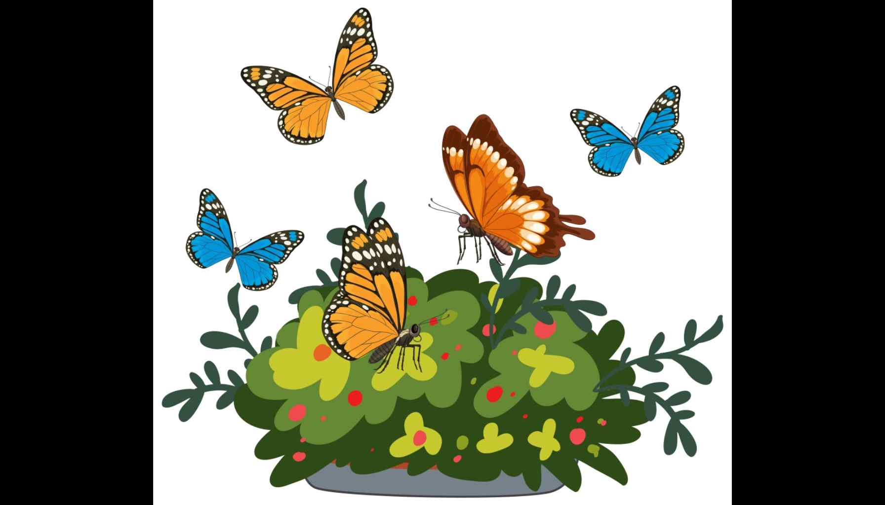 Mozambique Protects Butterflies