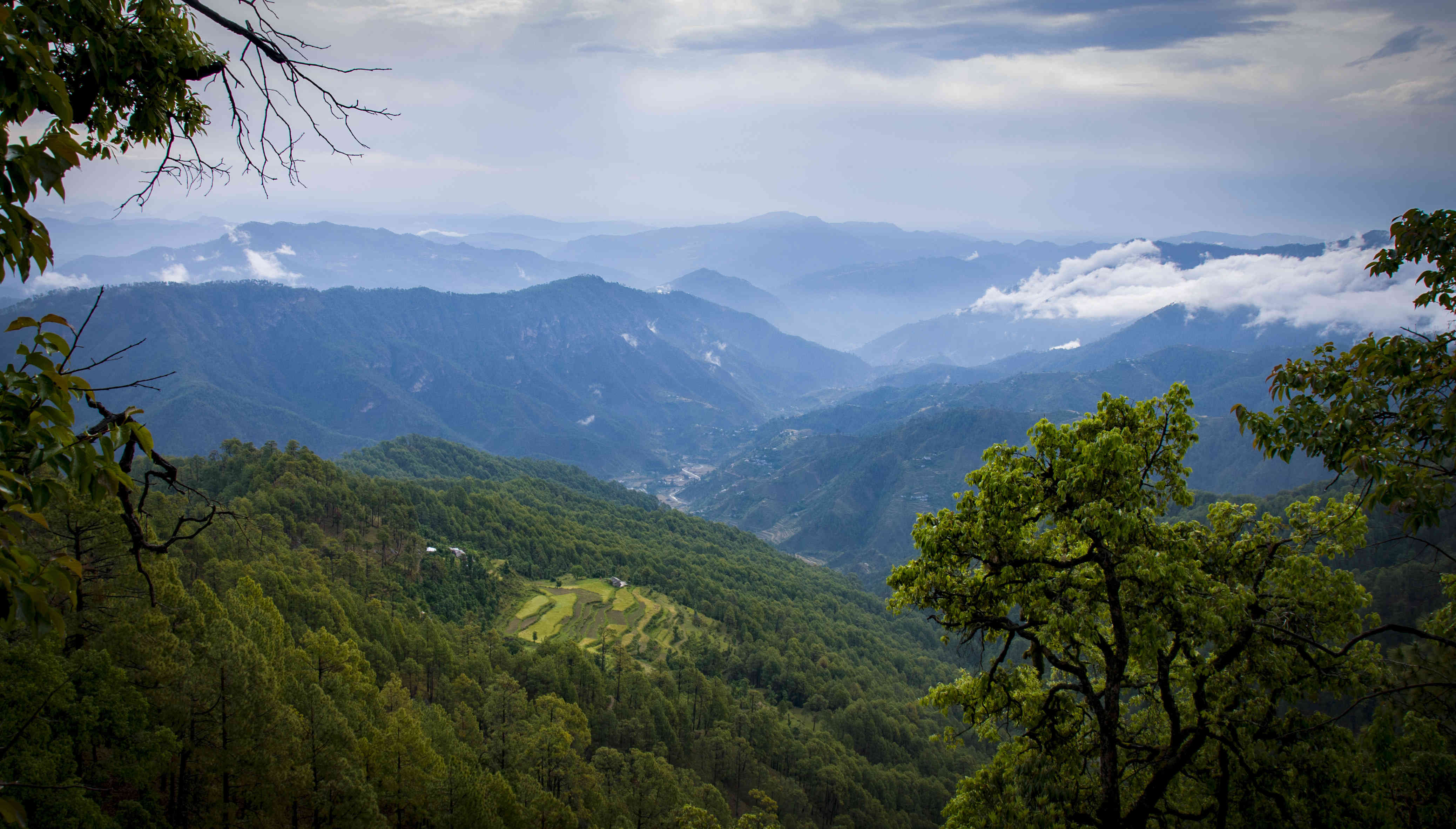 Lost in jageshwar dham