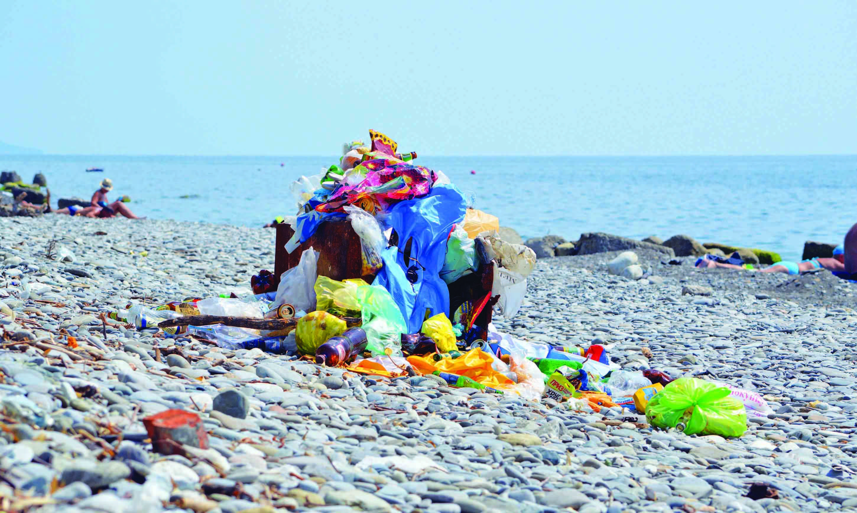 Step up your sustainability