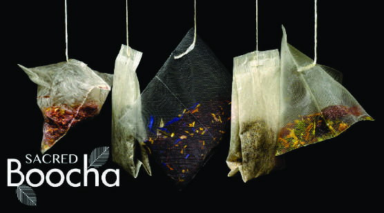 The tea of immortality Kombucha