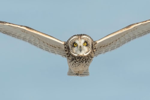 How to Improve Concentration â€“ Simple Tools and Techniques to Inculcate in Daily Life