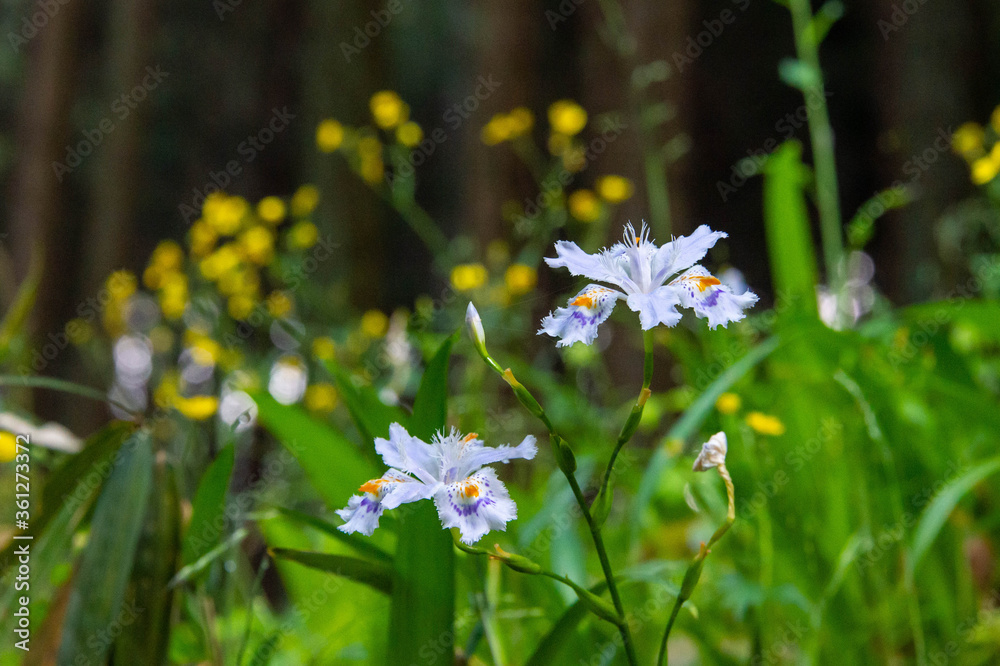 Compete with yourself