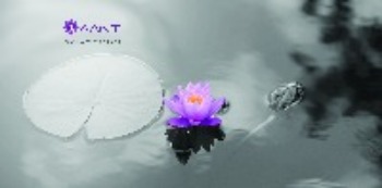 Calmness made  wearable