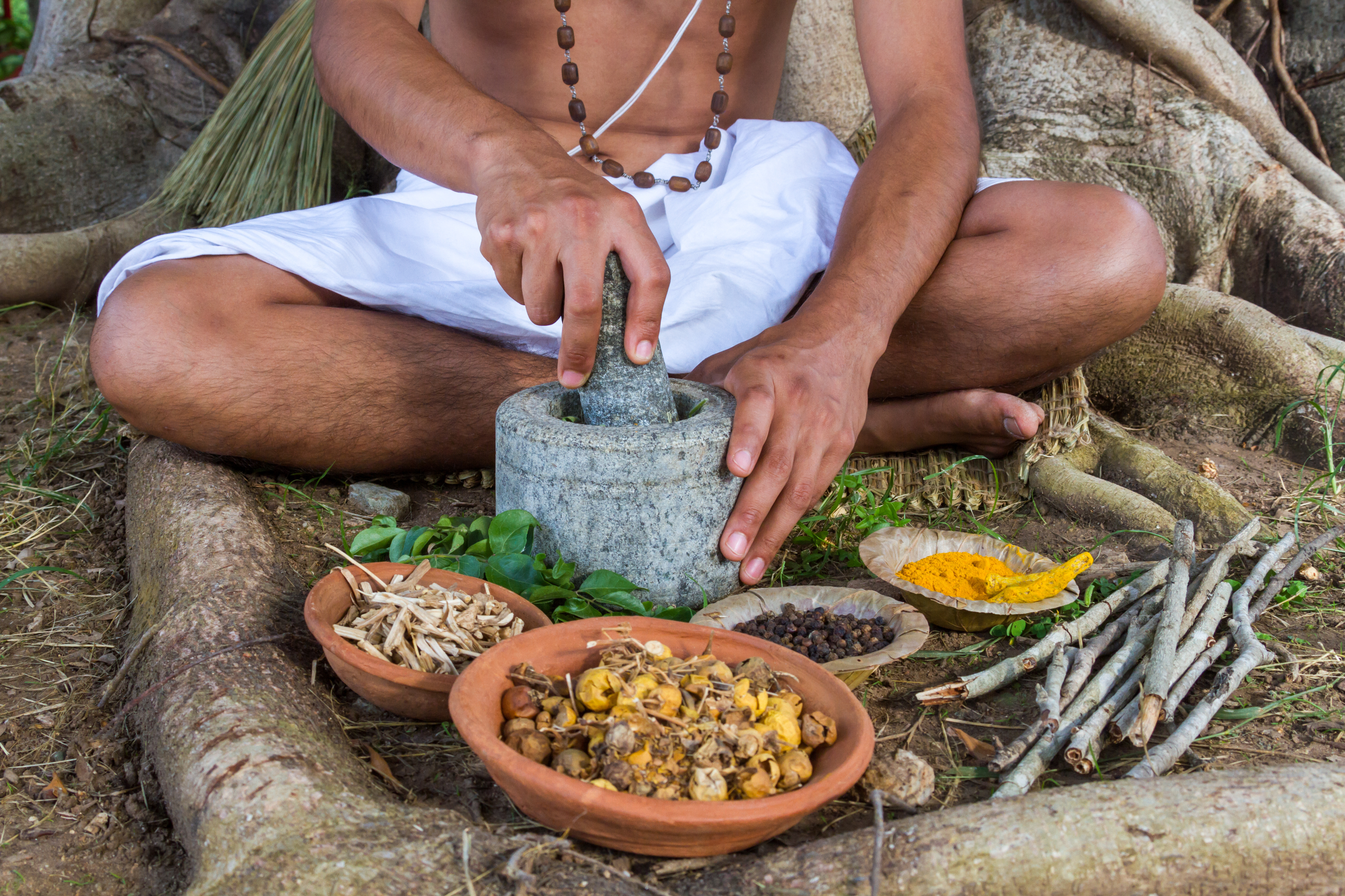 A global platform for traditional medicine