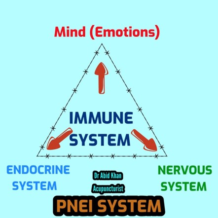 Â A NEW EMERGING SCIENCE OF MIND-BODY HEALING â€“ PSYCHONEUROENDOCRINOIMMUNOLOGY (PNEI) 