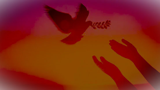 How Your Lifestyle Can Benefit from Adequate Accident Coverage