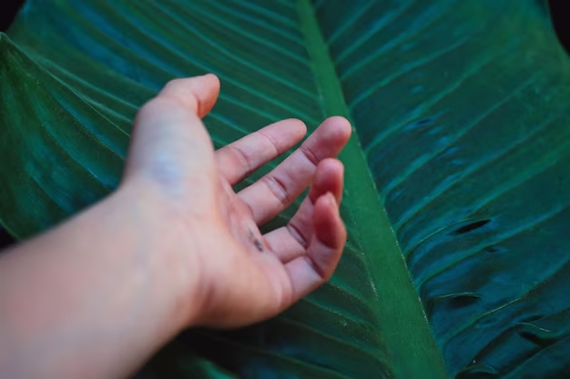 Our Palms are our Healer