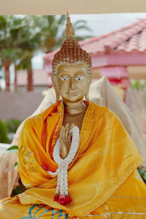 A week of Vipassana Meditation