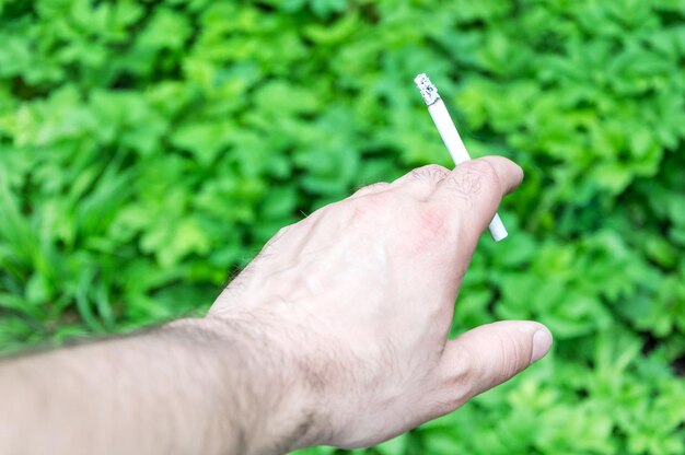 Recycling cigarattes