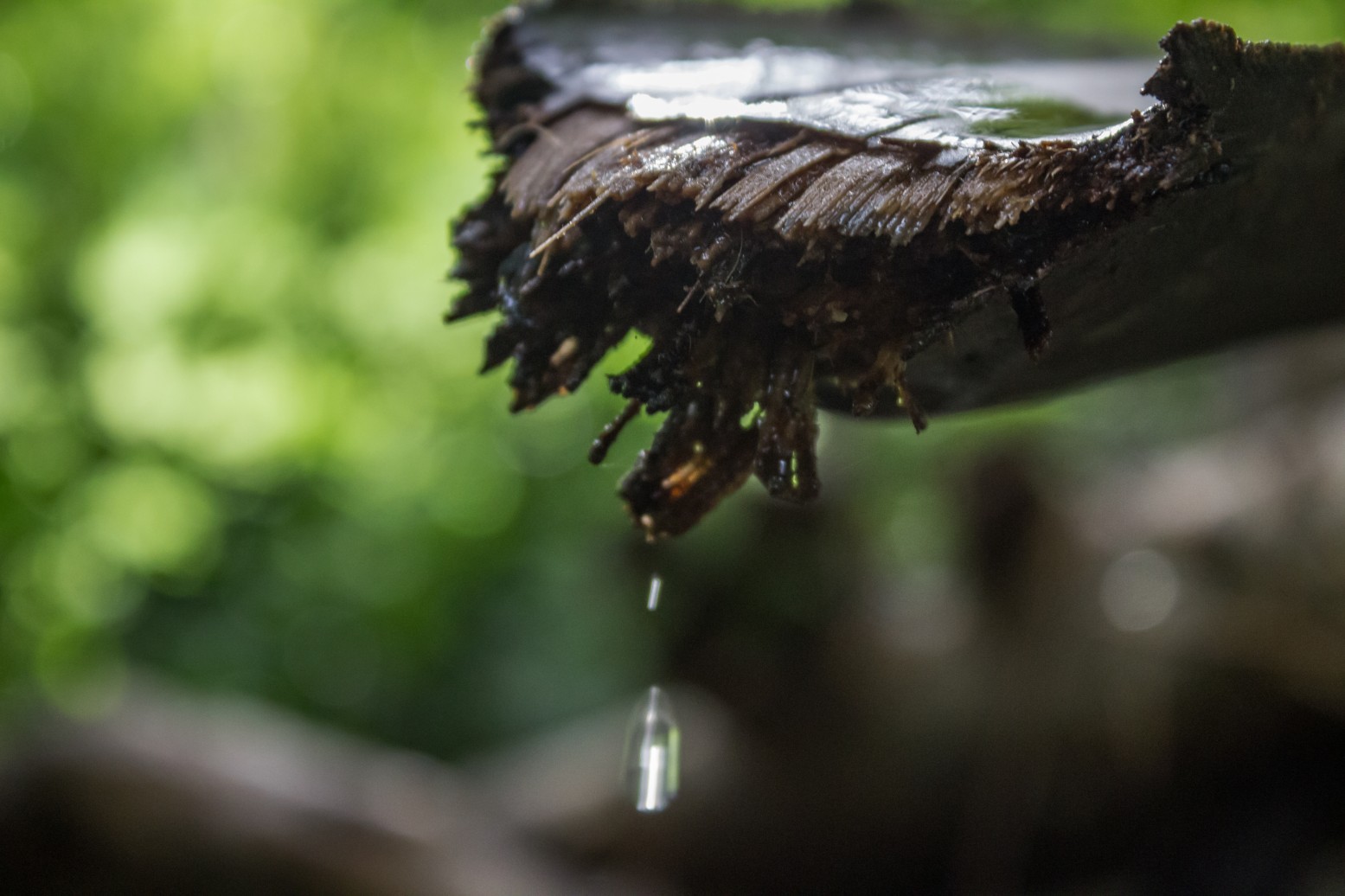 Saving water at the grassroots
