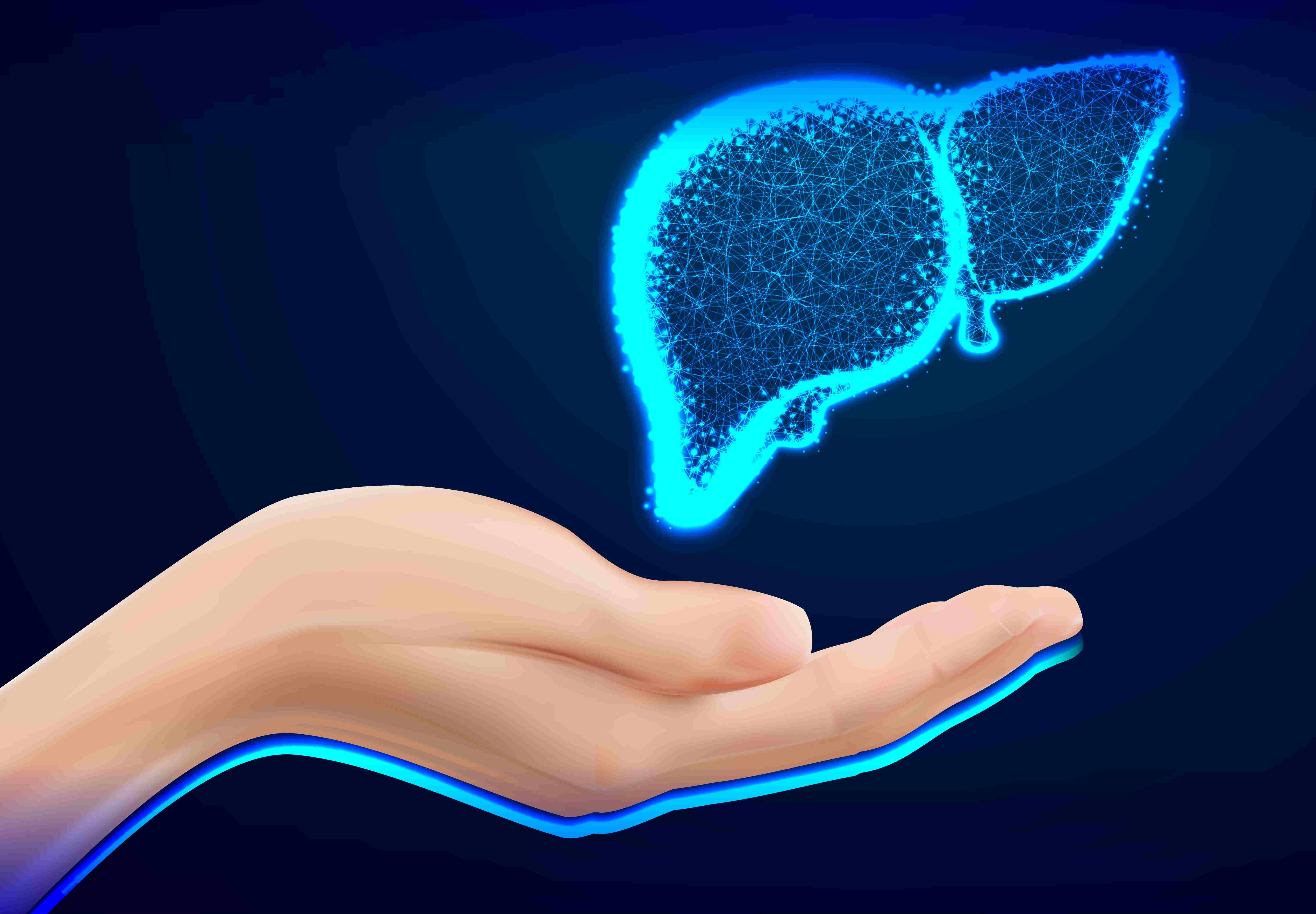 How to help your liver recover