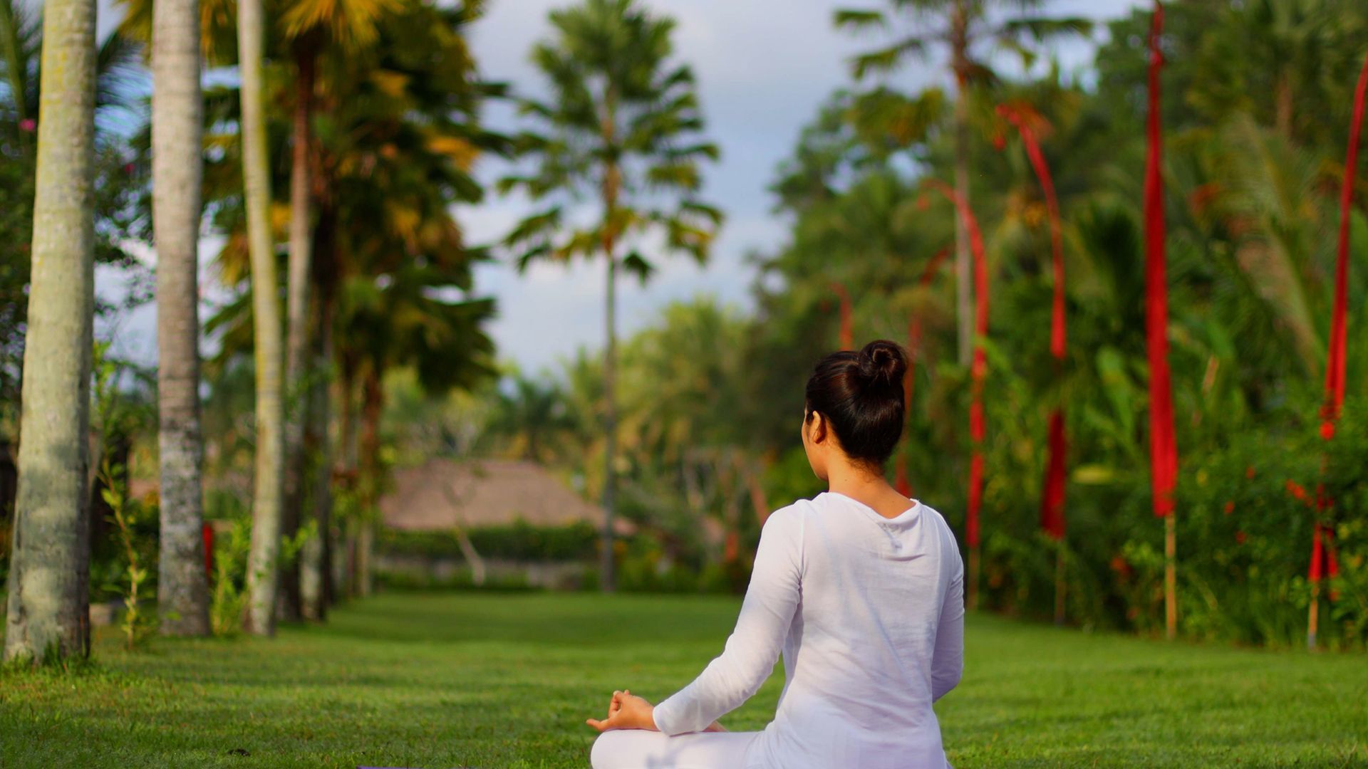 Reiki level 1 Life Positive