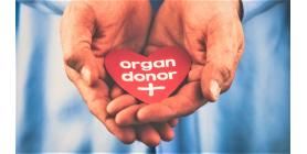 kidney donor stories