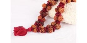 Rudraksha Therapy