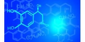 Science Behind Reiki