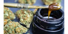 5 Things To Know About Dabbing Concentrates