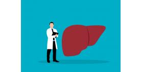 The Importance of Choosing a Good Liver Function Testing Doctor