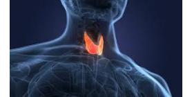 Is Thyroid Cancer 100% Curable?