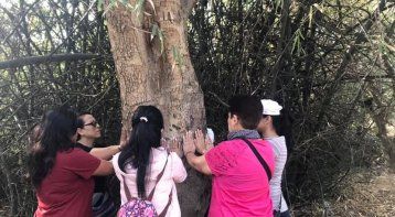 Family Forest Bathing