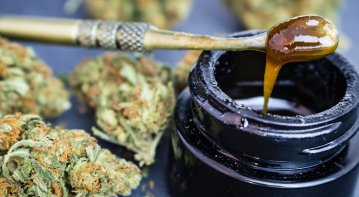 5 Things To Know About Dabbing Concentrates