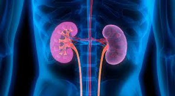 How Are Hypertension and Kidney Disease Related?