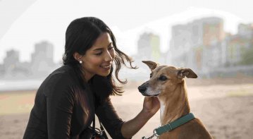 adoptingapet