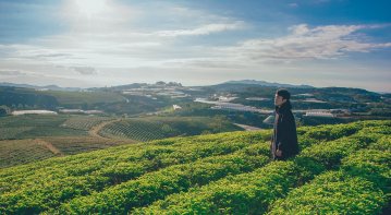 Holistic Approaches to Overcoming Substance Addiction Challenges – A visual representation of natural and therapeutic methods such as meditation, counseling, yoga, and balanced nutrition supporting recovery from substance addiction.