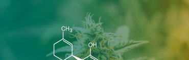 cbd-flowers