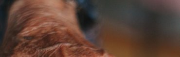 Comprehensive Divorce Support for Seniors: What You Need to Know