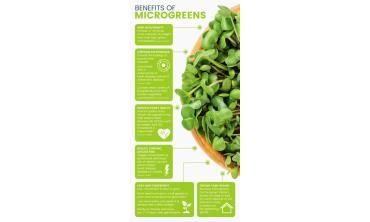 Healing with Microgreens