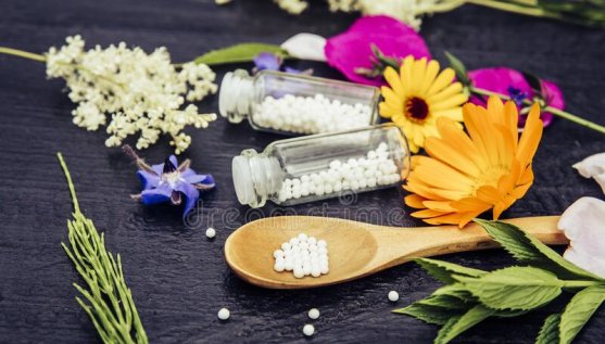 Homoeopathy A Spiritual Science