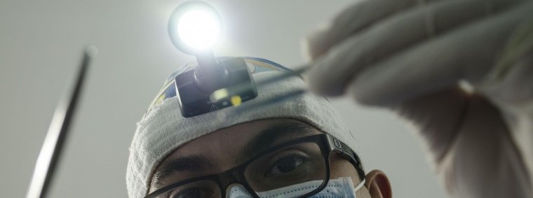 A dentist demonstrates the placement of a dental implant model to explain its role in restoring oral health.  