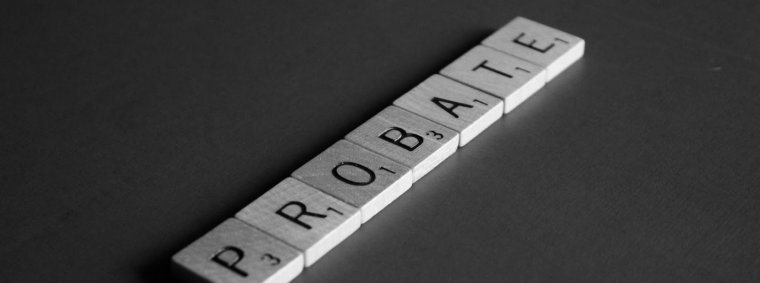 Parents reviewing essential tips and legal guidance for navigating probate litigation effectively